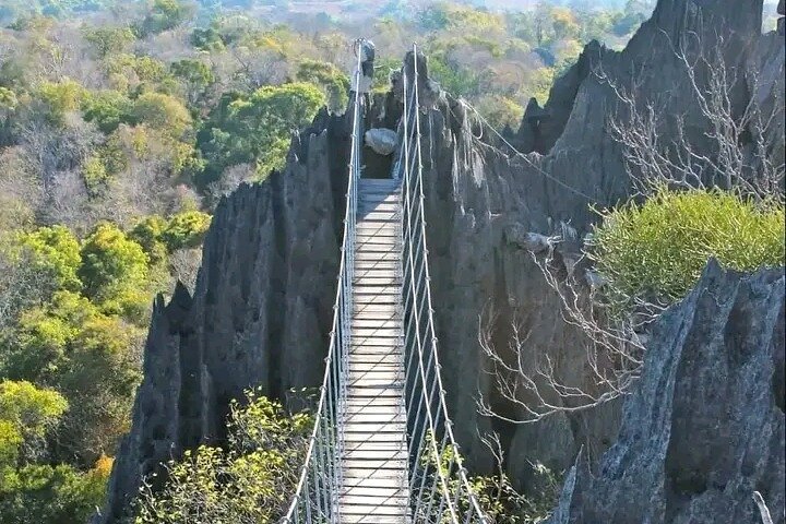 Morondava Tour : 3-day to Tsingy of Bemaraha & Baobab avenue