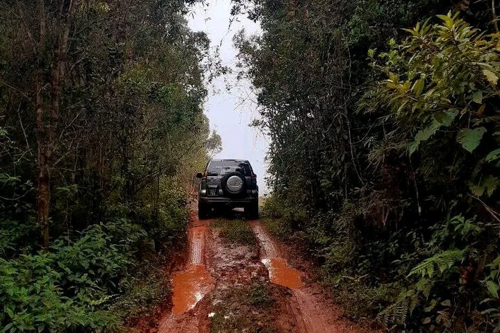 Morondava Tour : 3-day to Tsingy of Bemaraha & Baobab avenue