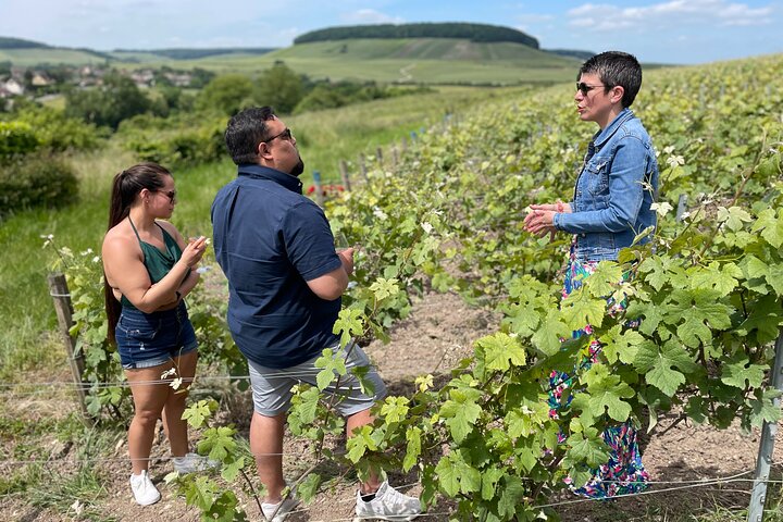 Champagne Munoz Bruneau : Half Day Visit and Tasting