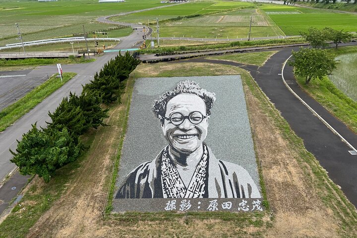 Rice Paddy Art and Apple Picking Full day Private Tour