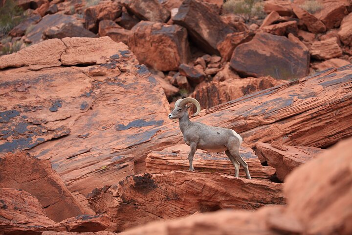 Ultimate Colorado Bundle: Self-Guided Driving & Walking Tours