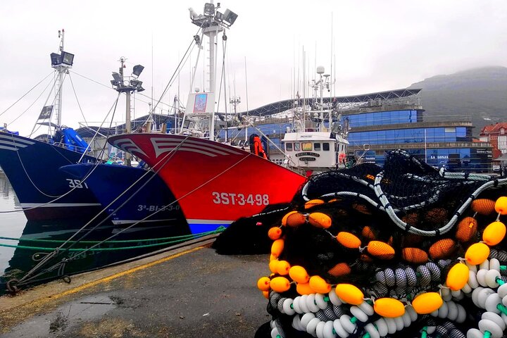 Tour of the Santoña marinera and its fishing port with tasting