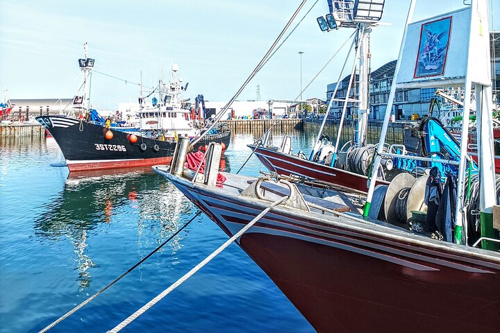 Tour of the Santoña marinera and its fishing port with tasting
