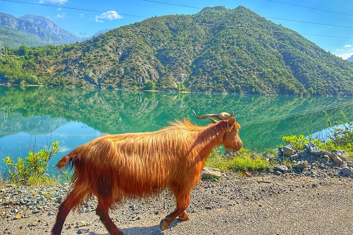 Shala river & Komani lake -Day trip from Tirana/Durres/ Shkodra
