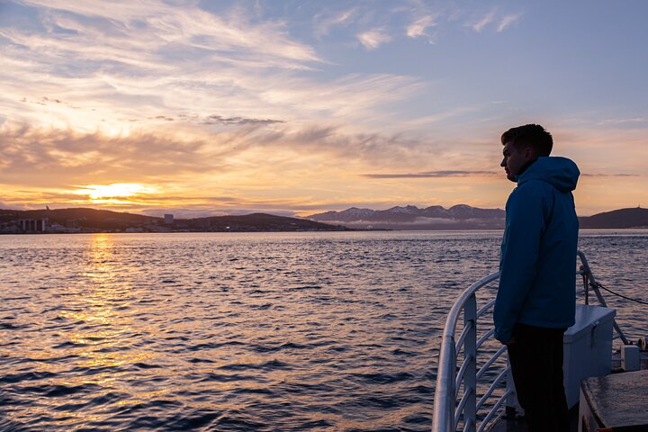 Tromsø: Arctic Fjord Cruise & Fishing Experience