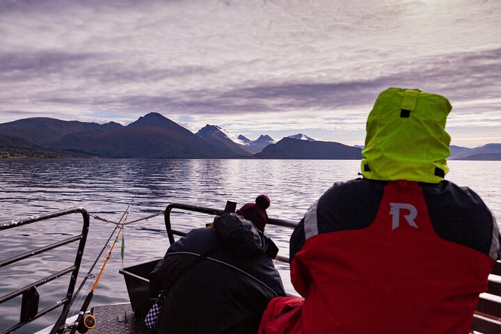 Tromsø: Arctic Fjord Cruise & Fishing Experience