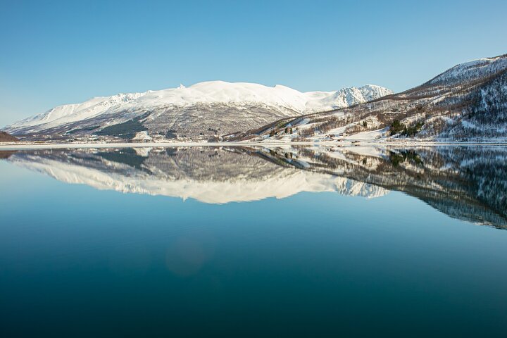 Tromsø: Arctic Fjord Cruise & Fishing Experience