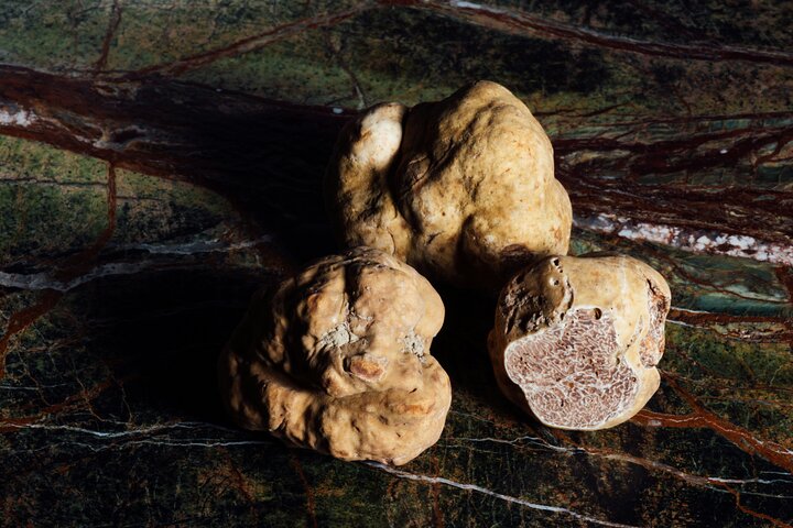 Truffle Hunting and Cheese, Truffle & Wine Tasting near Alba