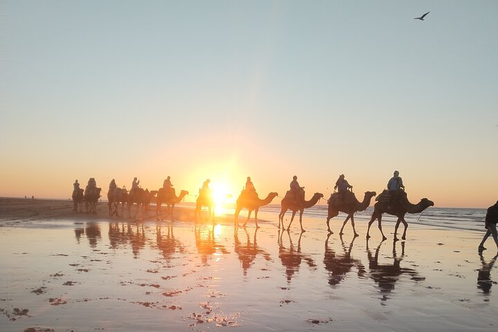 Essaouira Camel Ride, Quad Bike & Buggy Adventure