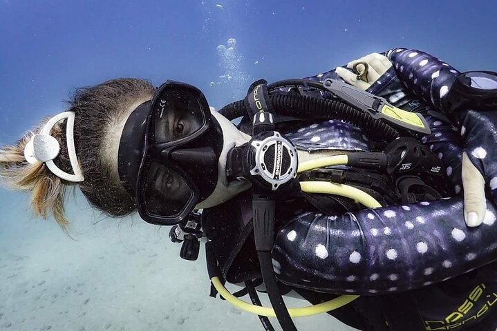 Diving tour in Isla del Caño for certified divers