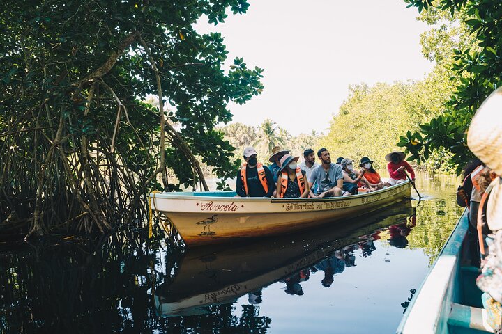 Turtle Release Escobilla Sanctuary and crocs in Ventanilla.