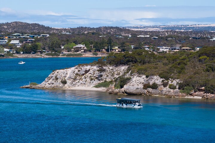 Experience Coffin Bay Short and Sweet Oyster Farm Tour