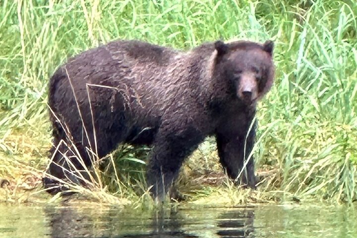 Small Group Boat Tour of Sitka