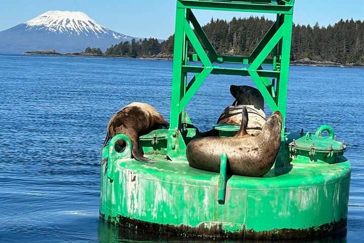 Small Group Boat Tour of Sitka