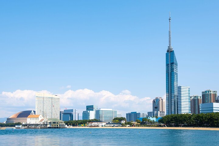 Hakata Cruise Shore Excursion Fukuoka Half Day Tour