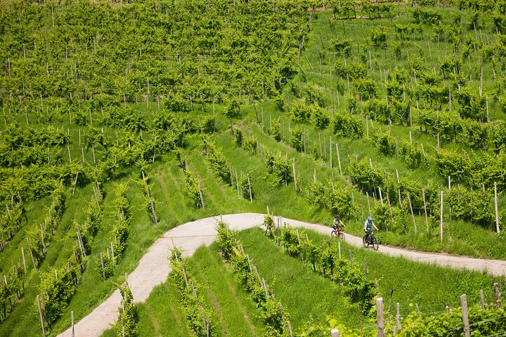Valdobbiadene e-bike tour amongst vineyards UNESCO Prosecco Hills