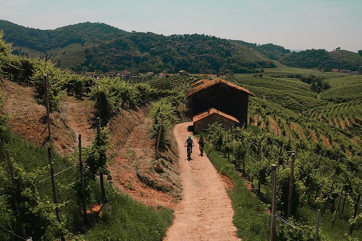 Valdobbiadene e-bike tour amongst vineyards UNESCO Prosecco Hills
