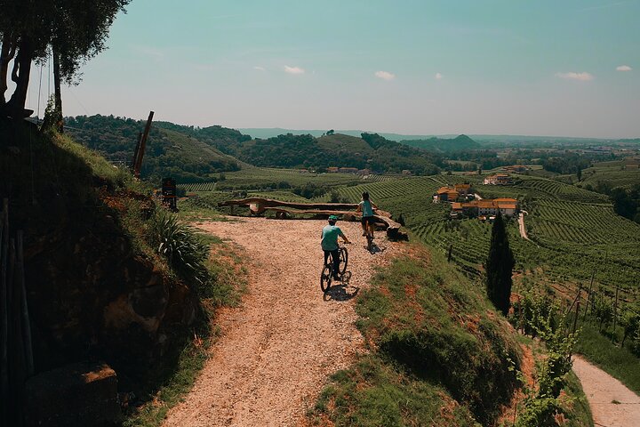Valdobbiadene e-bike tour amongst vineyards UNESCO Prosecco Hills