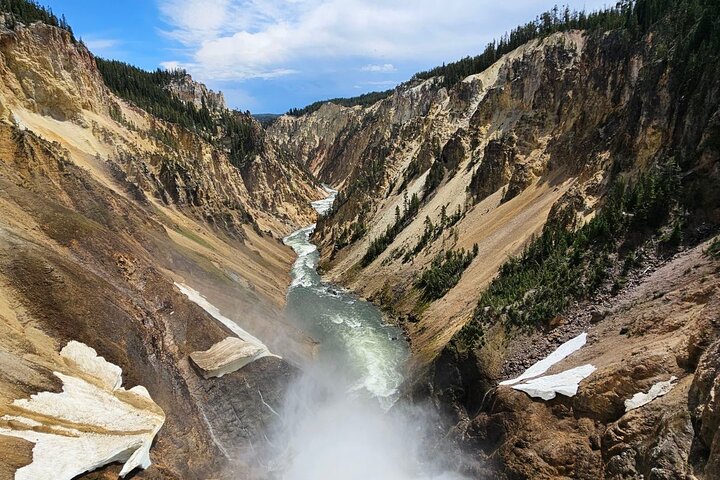 Yellowstone Hot Spots Lower Loop Tour From Cody Wy!