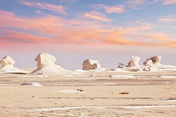 Trip to Bahariya Oasis: Black & White Desert Adventure from Cairo