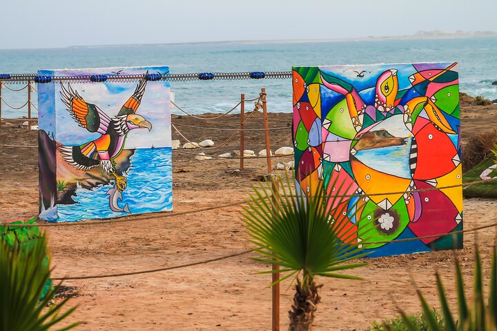 Complete Excursion and Flight on the Zipline Cabo Verde