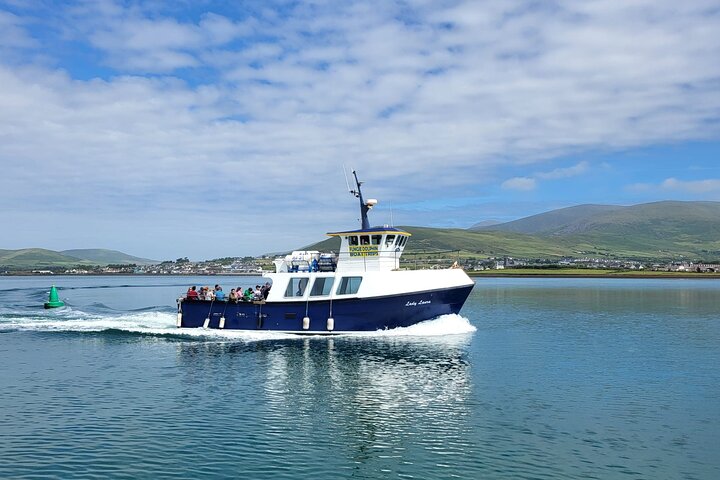 Dolphin Discovery Eco Tour