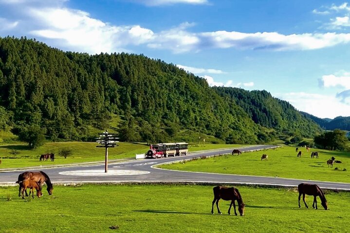Wulong Private Tour All Inclusive: Premium Vehicle & local Lunch