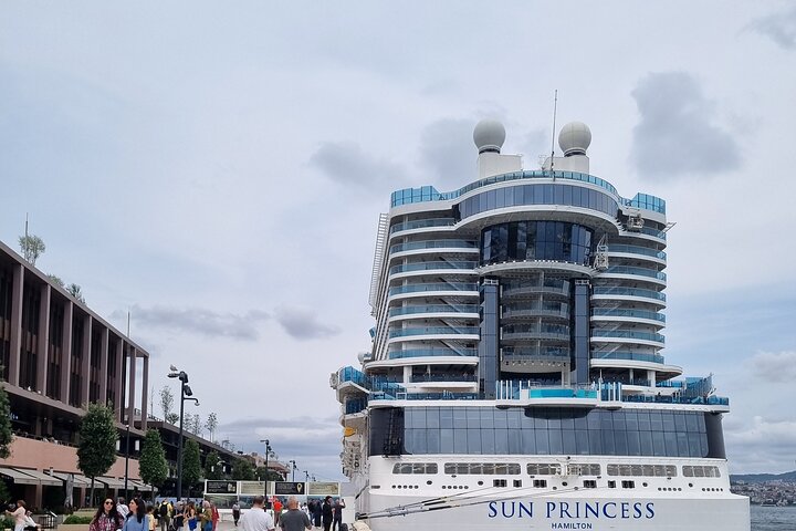 Private Guided Tour Istanbul from Cruise Ship or Hotel