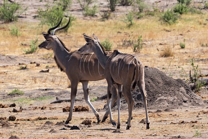 3 Day Garden Route Private Safari from Cape Town