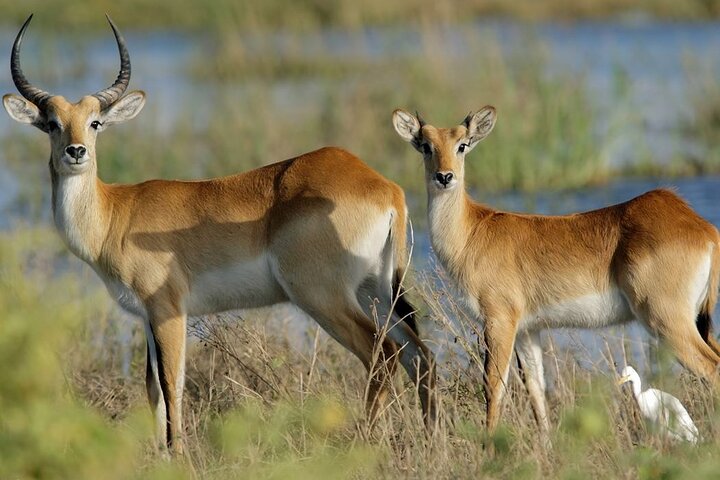 3 Day Garden Route Private Safari from Cape Town
