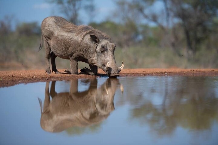 3 Day Garden Route Private Safari from Cape Town