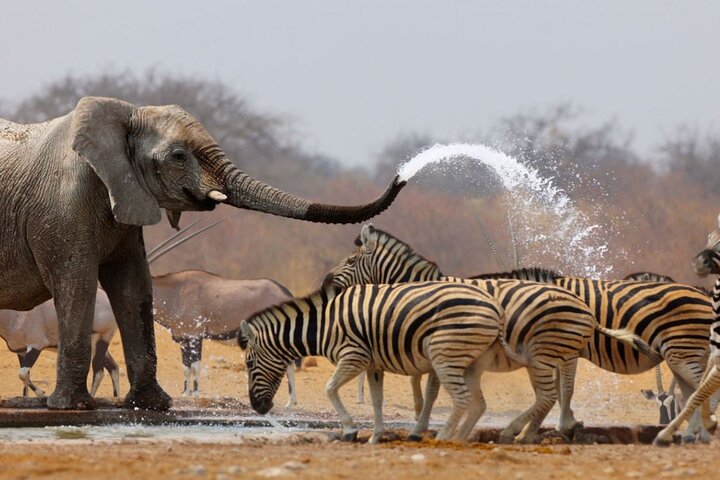 3 Day Garden Route Private Safari from Cape Town