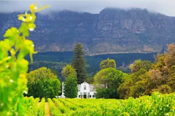 3 Day Garden Route Private Safari from Cape Town