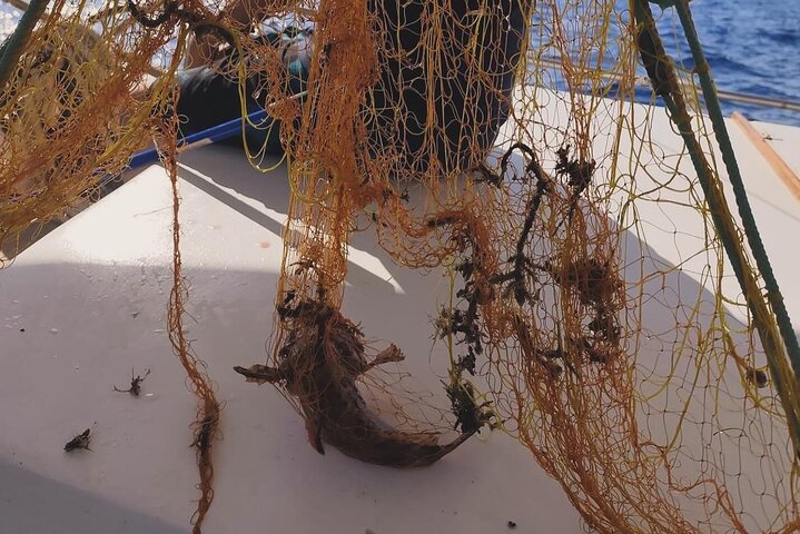 Half-Day Shared Fishing Experience in Hydra