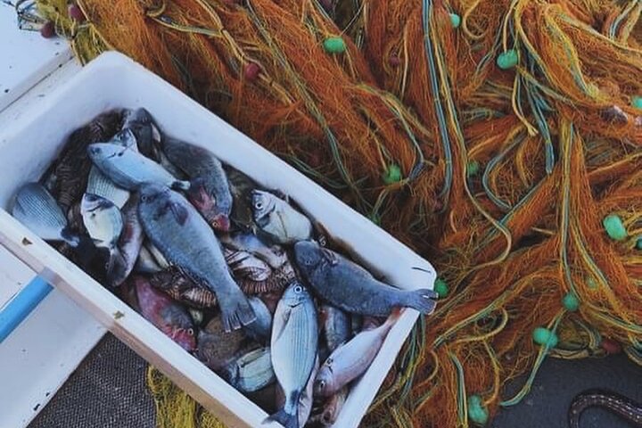 Half-Day Shared Fishing Experience in Hydra