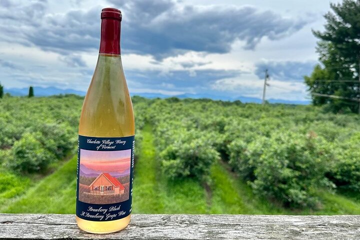 Small Group Wine & Cider Tour in Vermont