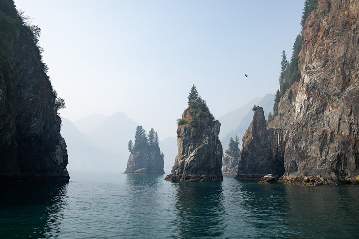 Kenai Fjords National Park Glacier & Wildlife Tour from Seward