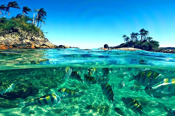 Shared Speedboat Tour - Paradise Island Tour