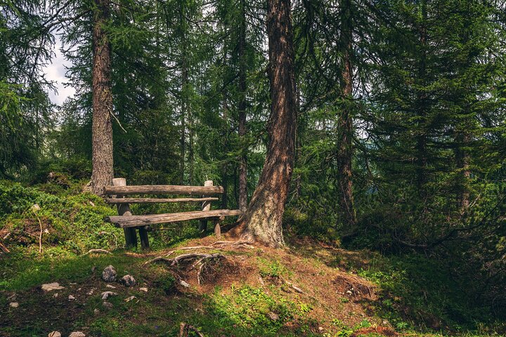 Private Hiking to the Three Peaks, Misurina and Braies da Cortina