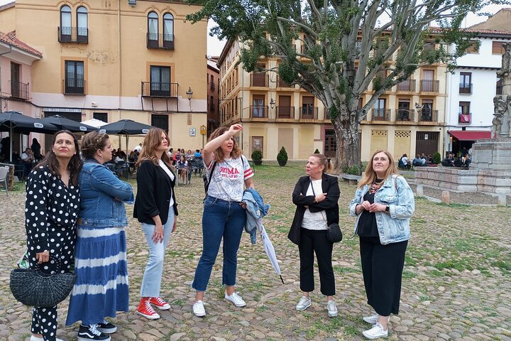 Lion : guided tour by a Lioness art historian (Spanish)