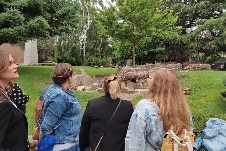 Lion : guided tour by a Lioness art historian (Spanish)