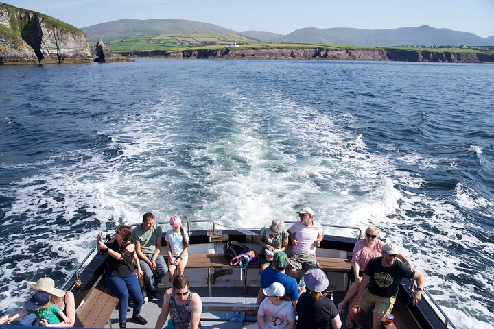 Dolphin Discovery Eco Tour