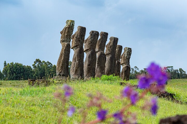 Private Tour: The Highlights of Easter Island