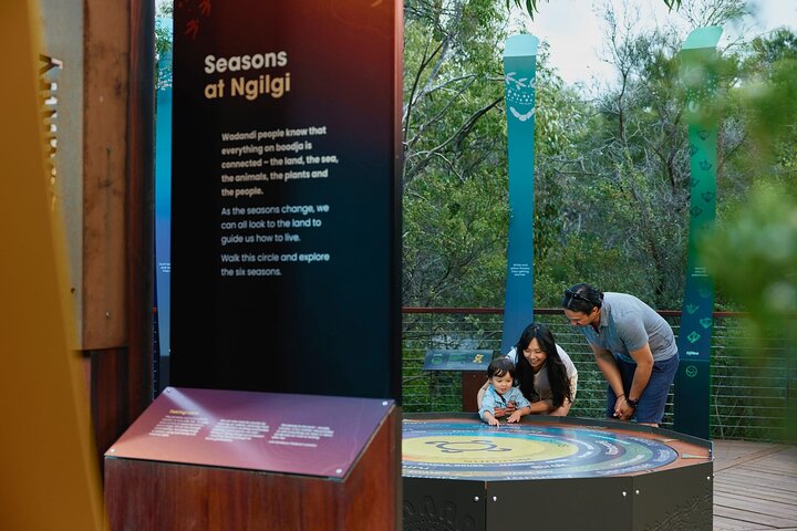 Self-Guided Ngilgi Cave Ancient Lands Experience
