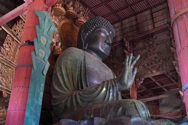 Nara Early Morning Tour Kyoto or Osaka Departure Available