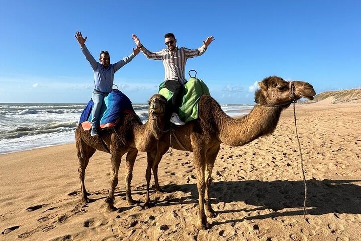 Explore Tangier: Cape Espartel, caves and camel ride.