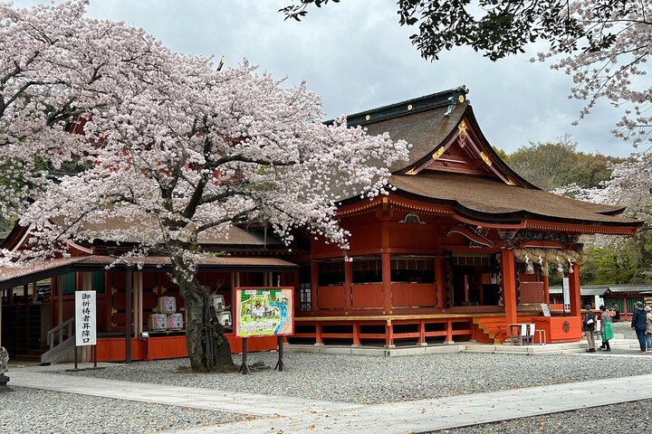Mt.Fuji area Tour from Shimizu Port / Van Taxi