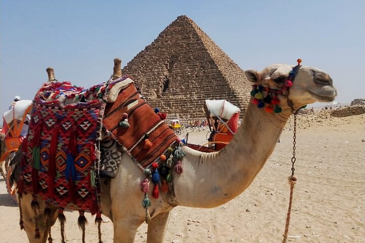 Sharm : Cairo Excursion by Flight, Pyramid GEM or Ancient Museum