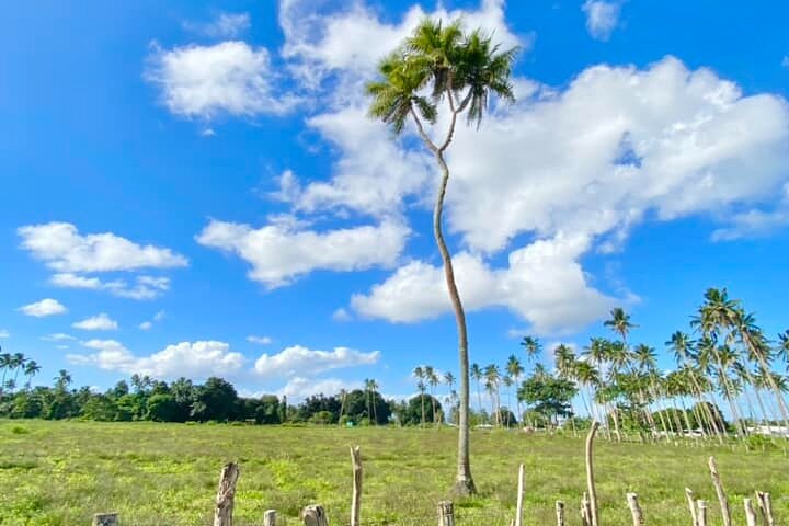 Tongatapu Island Tour