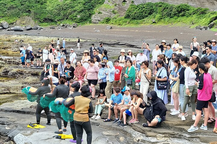 Half or Day Tour For Cruise customers arriving at Jeju City Port